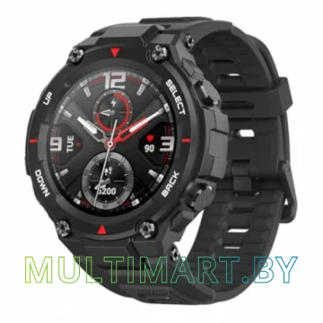Смарт-часы Amazfit T-Rex (черный)